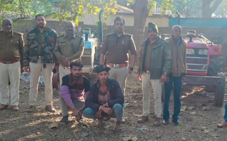 Jabalpur News: संरक्षित वन क्षेत्र में अवैध रेत उत्खनन, वन विभाग ने ट्रेक्टर चालक को दबोचा