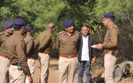 Jabalpur News: नहर किनारे मिली महिला की लाश, हत्या कीआशंका