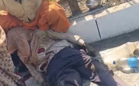 Jabalpur Breaking News: गौर - सालीवाड़ा में भीषण सड़क हादसा, रेलिंग लगा रहे मजदूरों को तेज रफ्तार वाहन ने रौंदा