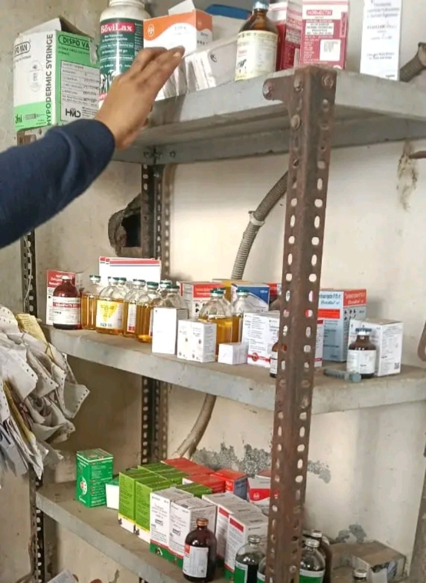 Jabalpur News: गौरैयाघाट की अख्‍तर डेयरी में गरूड़ दल ने मारा छापा, पानी की टंकी में मिली गंदगी, मृत मवेशी भी मिले