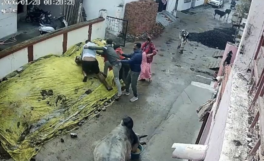 Jabalpur News: रेत हटाने को लेकर हुआ विवाद, पड़ोसियों ने महिला को जमकर पीटा, सीसीटीवी फुटेज हुई वायरल