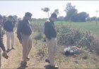 Jabalpur News: युवती की हत्या कर शव खेत की मेढ़ पर फेंका, पहचान छिपाने चेहरा कुचला