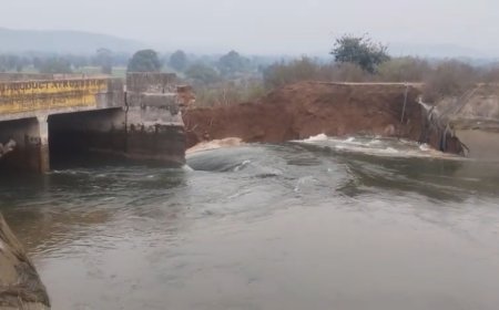 Jabalpur News: बरगी बांध की नहर फूटी, पानी की निकासी बंद कराई, फसलों को हुए नुकसान का होगा सर्वे