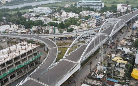 Jabalpur News: फ्लाईओवर में दरार के दावों का विभाग ने किया खंडन, सोशल मीडिया पर वीडियो वायरल करने वालों पर एफआईआर की तैयारी