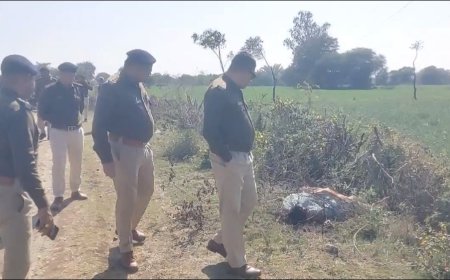 Jabalpur News: युवती की हत्या कर शव खेत की मेढ़ पर फेंका, पहचान छिपाने चेहरा कुचला