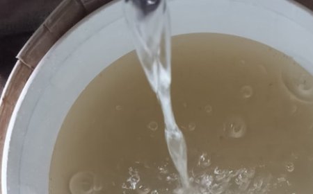 Jabalpur News: जबलपुर में सप्लाय हो रहा 47 प्रतिशत पानी पीने के योग्य नहीं, एनजीटी में याचिका दायर