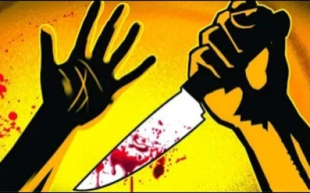 Jabalpur Breaking News: भाजपा ग्रामीण अध्यक्ष के भाई पर शराबियों ने चलाए दनादन चाकू