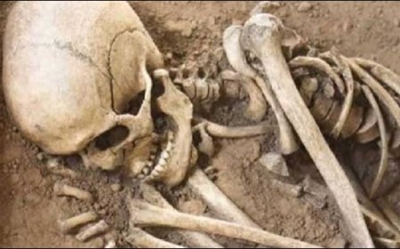 Jabalpur News: बरेला के पुराने शासकीय स्कूल में मिला नरकंकाल