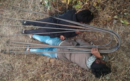 Jabalpur News: जंगल से लौट रहे नाबालिक सहित युवक को लगा करंट, दोनों की हुई मौत