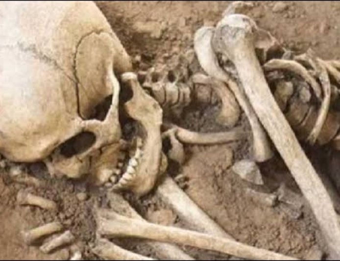 Jabalpur News: बरेला के पुराने शासकीय स्कूल में मिला नरकंकाल