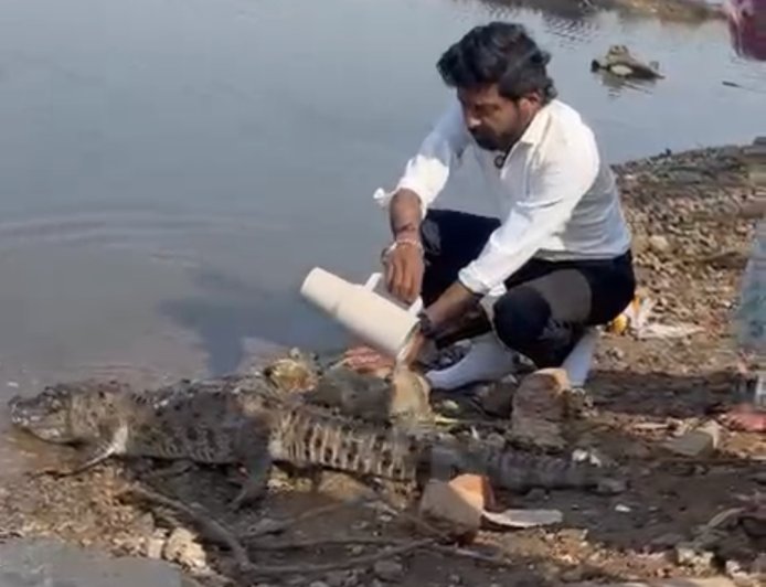 Jabalpur Breaking News: गौरीघाट में मिला मृत मगरमच्छ, करंट लगाकर शिकार किए जाने की आशंका