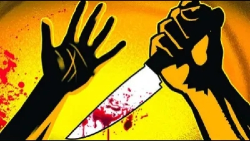 Jabalpur Breaking News: भाजपा ग्रामीण अध्यक्ष के भाई पर शराबियों ने चलाए दनादन चाकू