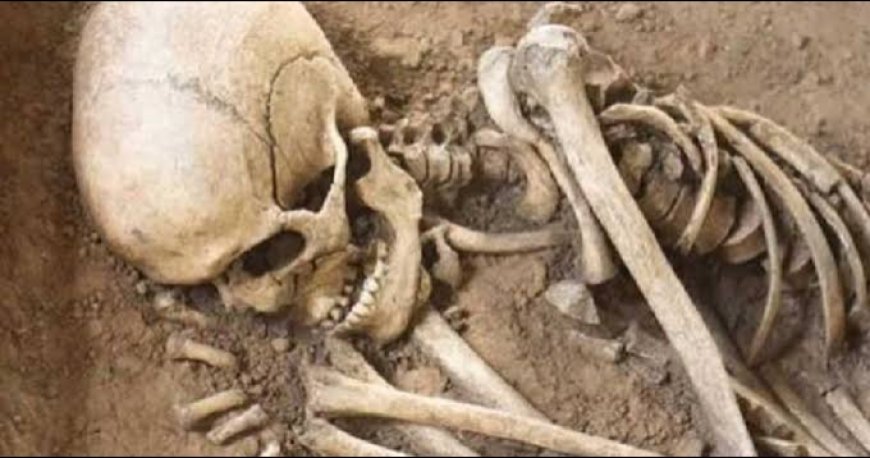 Jabalpur News: बरेला के पुराने शासकीय स्कूल में मिला नरकंकाल