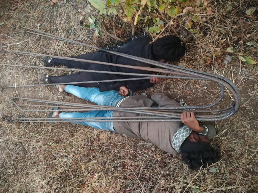 Jabalpur News: जंगल से लौट रहे नाबालिक सहित युवक को लगा करंट, दोनों की हुई मौत