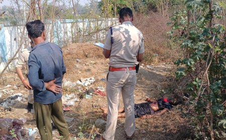 Jabalpur News: महिला की हत्या, भाजपा कार्यालय के समीप मिली लाश को नोंच रहे थे सूअर