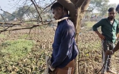 Jabalpur News: महिला हत्याकांड में संदेही की हाथ बंधी लाश पेड़ से लटकी मिली, जांच में जुटी माढोताल पुलिस