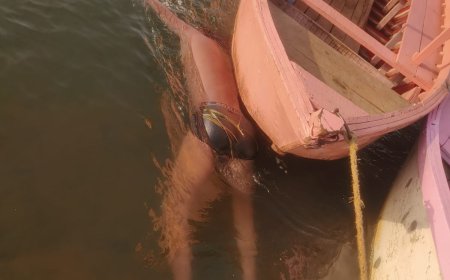 Jabalpur News: 64 घंटे वाद भटौली घाट में मिली जॉनी की लाश, एडविन की तलाश जारी