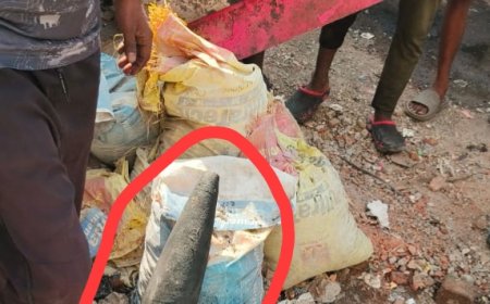 Jabalpur News: रद्दी चौकी में बम खोल मिलने से मचा हड़कंप