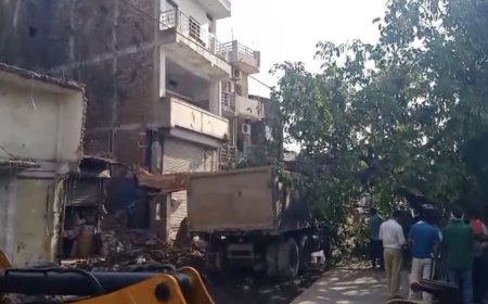 Jabalpur News: गढ़ा बाज़ार में गिरा पेड़, कई घर हुए क्षतिग्रस्त