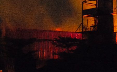 Jabalpur News: एडवेंचर पार्क में लगी भीषण आग