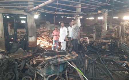 Jabalpur News: अधारताल में क्लासिक फर्नीचर और साहू फर्नीचर में लगी भीषण आग, लाखों की लकड़ी जलकर खाक