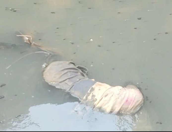 Jabalpur News संजीवनी नगर के नाले के कीचड़ में धंसी मिली ' रूपलाल ' की लाश