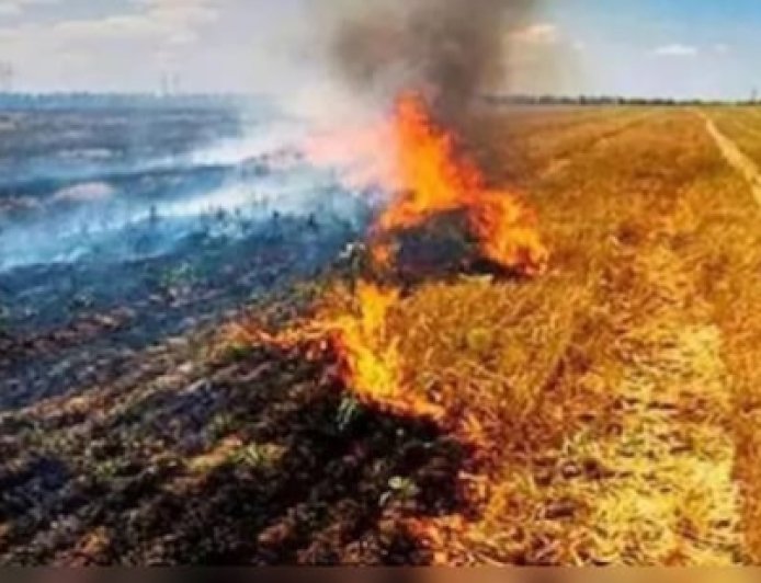 Jabalpur News: कम्बाइन्ड हार्वेस्टर के साथ स्ट्रा रीपर को रखना अनिवार्य, जिले में नरवाई जलाने पर प्रतिबंध