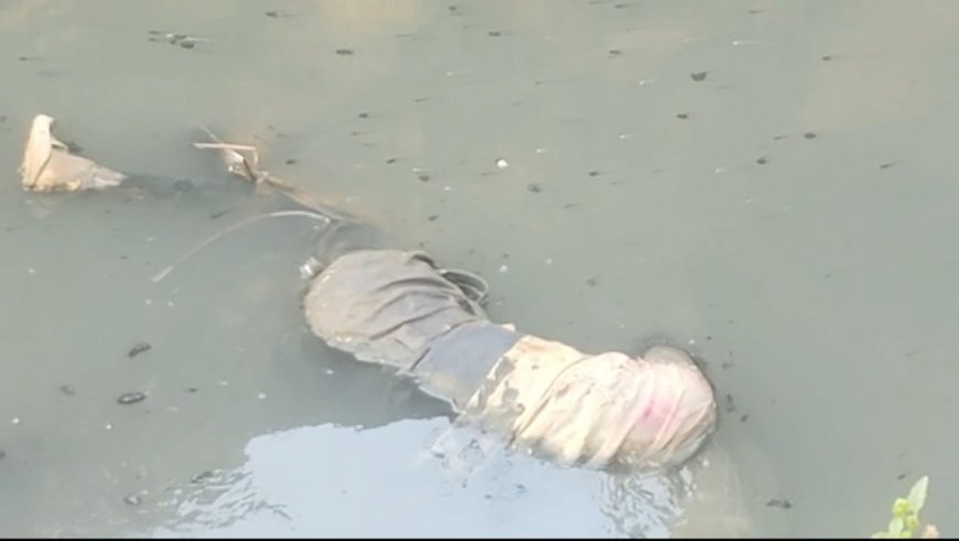 Jabalpur News संजीवनी नगर के नाले के कीचड़ में धंसी मिली ' रूपलाल ' की लाश
