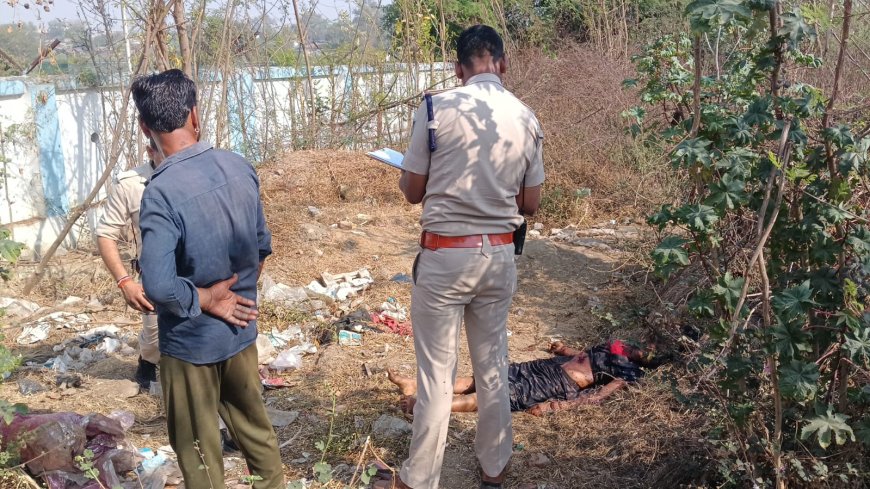 Jabalpur News: महिला की हत्या, भाजपा कार्यालय के समीप मिली लाश को नोंच रहे थे सूअर