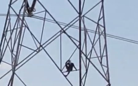 Jabalpur News: प्रेमिका से शादी करने की जिद में मैहर से आया प्रेमी, बात नहीं बनी तो चढ़ गया हाईटेंशन लाइन टाॅवर में