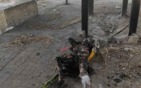 Jabalpur News: सिहोरा-खितौला मुक्तिधाम में सनसनीखेज घटना, जलती चिता में लेटा युवक... जांच में जुटी पुलिस