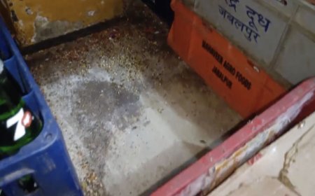 Jabalpur News: 4 यार कैफे के किचिन में बिलबिला रहे थे कॉकरोच, खाद्य पंजीयन निलंबित, विक्रय प्रतिबंधित