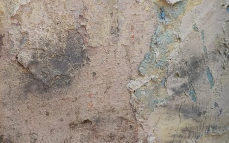 Jabalpur News: सदर में भाजपा पदाधिकारी के घर पर देर रात चले बम, क्षेत्र में दहशत