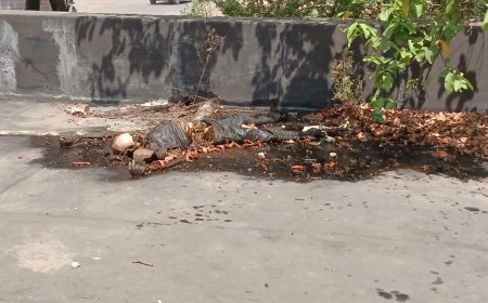 Jabalpur News: खंडहर की छत पर मिली युवक की लाश, सिविल लाइन का मामला... हत्या की आशंका