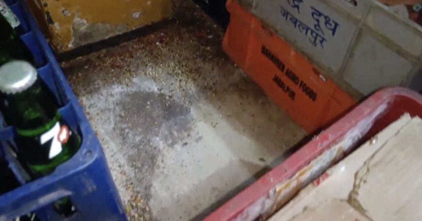 Jabalpur News: 4 यार कैफे के किचिन में बिलबिला रहे थे कॉकरोच, खाद्य पंजीयन निलंबित, विक्रय प्रतिबंधित