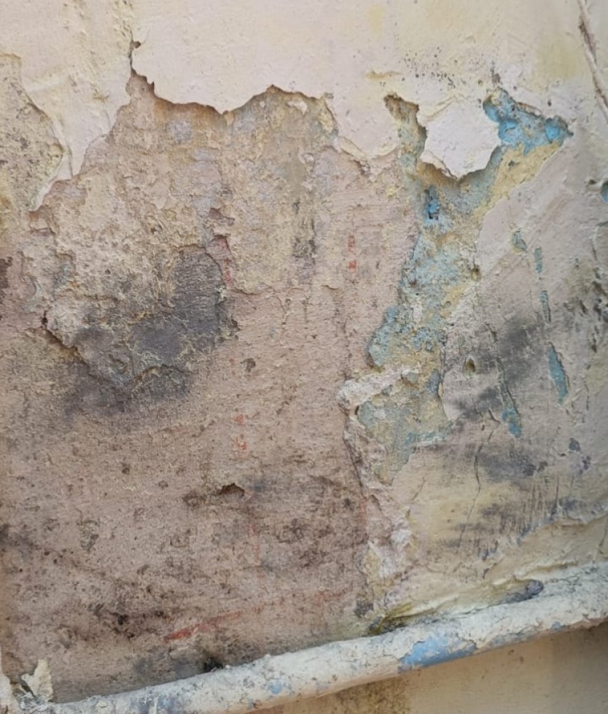 Jabalpur News: सदर में भाजपा पदाधिकारी के घर पर देर रात चले बम, क्षेत्र में दहशत