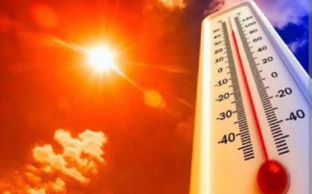 Jabalpur News: भीषण गर्मी का प्रकोप, सीजन के सबसे गर्म दिन पारा @44.6 डिग्री सेल्सियस, आगामी तीन चार दिनों तक पड़ेगी तेज गर्मी