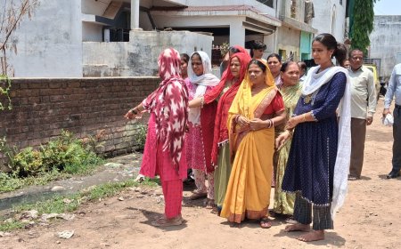 Jabalpur News: करमेता परशुराम वार्ड में मूलभूत सुविधाओं का अभाव, गंदगी-कीचड़ से परेशान रहवासी