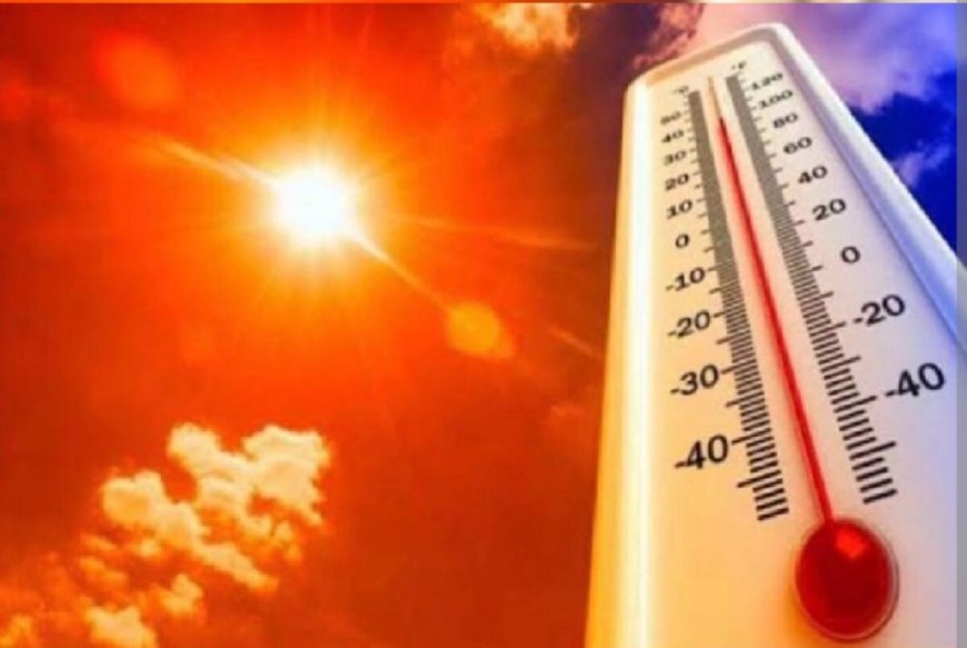 Jabalpur News: भीषण गर्मी का प्रकोप, सीजन के सबसे गर्म दिन पारा @44.6 डिग्री सेल्सियस, आगामी तीन चार दिनों तक पड़ेगी तेज गर्मी