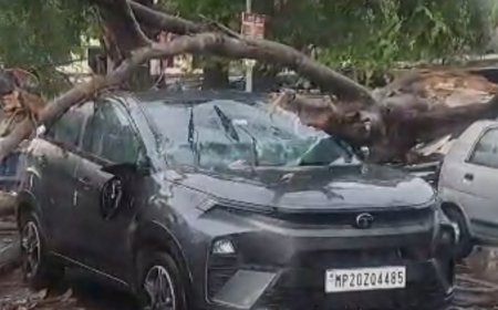 Jabalpur News: मानस भवन रोड पर कार में गिरा पेड़,बाल-बाल बचा चालक