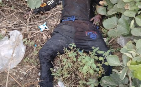 Jabalpur News: रेलवे ट्रैक के पास झाड़ियों में मिला युवक का शव, पुलिस जुटी शिनाख्ती में