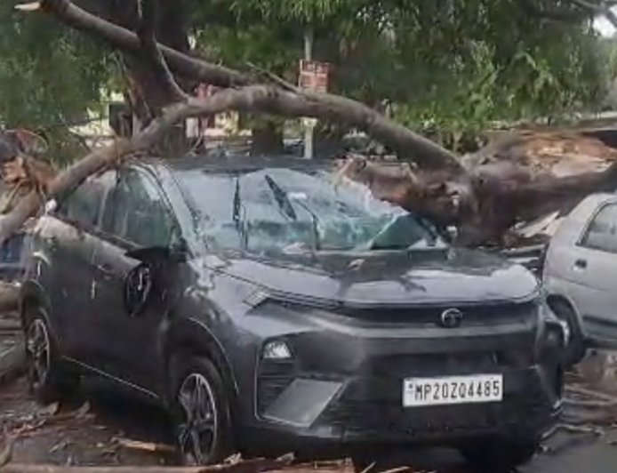 Jabalpur News: मानस भवन रोड पर कार में गिरा पेड़,बाल-बाल बचा चालक
