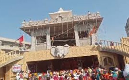 कुबेरेश्वर धाम में रुद्राक्ष महोत्सव आज से , 24 घंटे में 30 काउंटर से बांटे जाएंगे 24 लाख रुद्राक्ष