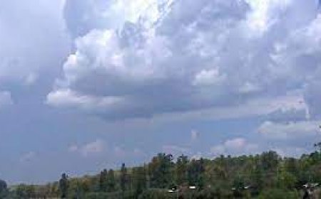 राजस्थान में 20 फरवरी तक मौसम रहेगा साफ, टेम्प्रेचर 30 डिग्री सेल्सियस से ऊपर