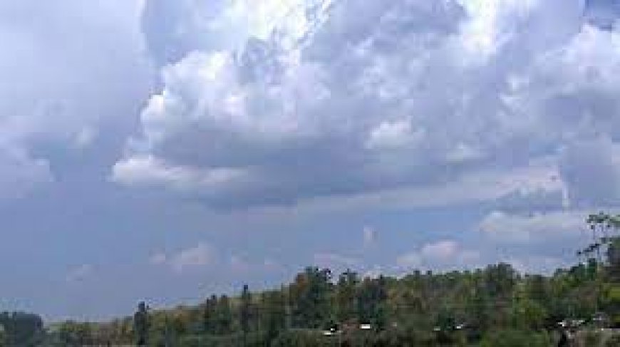 राजस्थान में 20 फरवरी तक मौसम रहेगा साफ, टेम्प्रेचर 30 डिग्री सेल्सियस से ऊपर