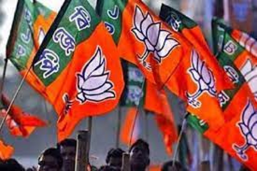 इसलिए नहीं आ रही छग बीजेपी की दूसरी सूची ...