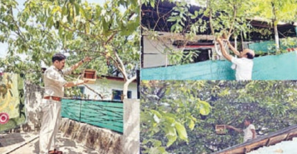 JABALPUR NEWS: बेजुबानों को बचाने छेड़ी मुहिम, अब घर-घर होंगे पक्षियों के आशियाने,सामान्य वनमण्डल जबलपुर का नवाचार, घरौंदा अभियान की शुरआत