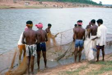 Jabalpur News: बरगी डेम से मछली चोरी करने वाले गिरफ्तार