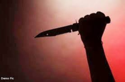 Jabalpur News: मकान खाली कराने की बात पर भाभी ने देवर को मारा चाकू