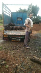 Jabalpur News: वन अमले के साथ मिलकर सागौन की तस्करी,डिप्टी रेंजर-बीट गार्ड निलंबित,.. वीडियो वायरल